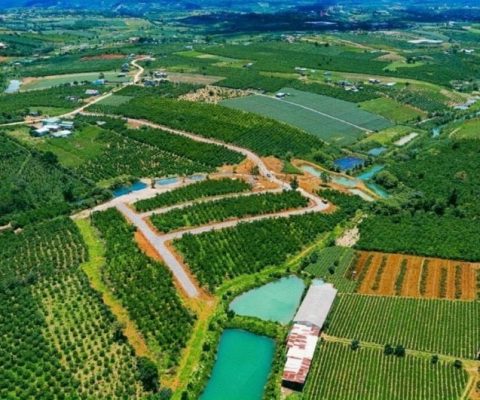 ĐẤT VƯỜN BIỆT THỰ 70 DAMB'RI - BẢO LỘC