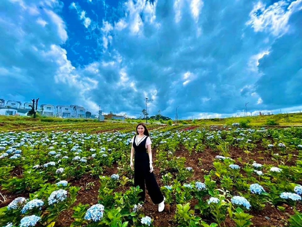 dự án La Beauté Bảo Lộc